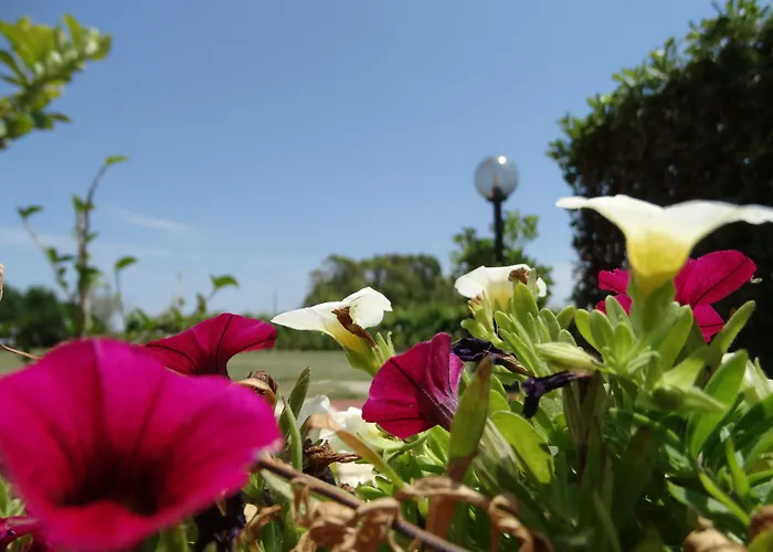 Il Pagio فندق مبيت وإفطار