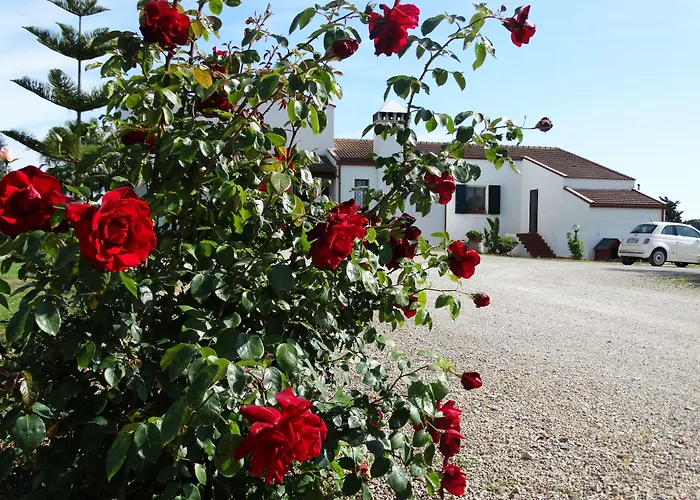 Il Pagio ألغيرو