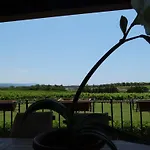 Il Pagio