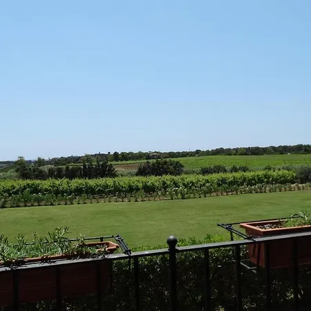 住宿加早餐酒店 伊尔帕吉奥酒店 阿尔盖罗