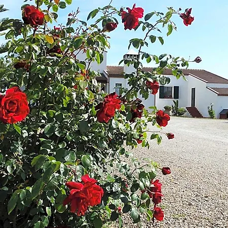 Bed & Breakfast Il Pagio Alghero