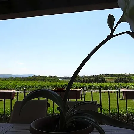 Bed & Breakfast Il Pagio