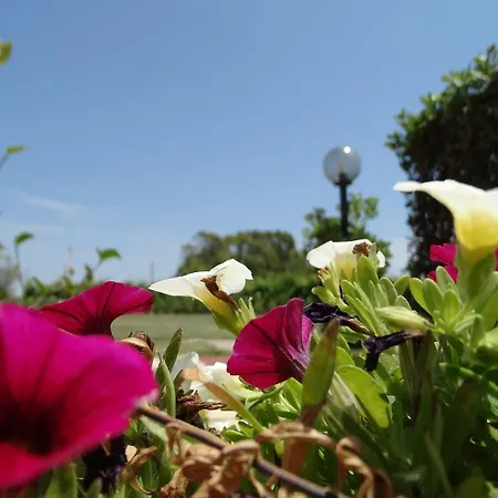 Il Pagio Bed & Breakfast