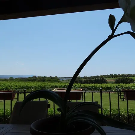 伊尔帕吉奥酒店