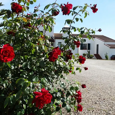 Il Pagio Αλγκέρο