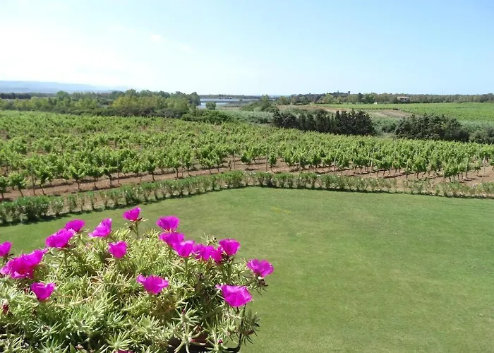 B&B Il Pagio 알게로