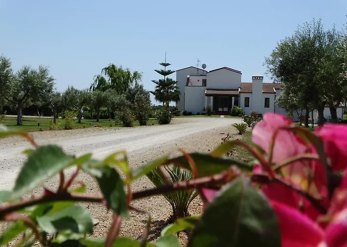 Il Pagio B&B 알게로